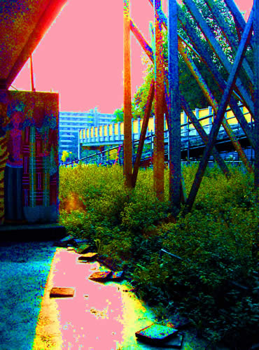 44_6_nov