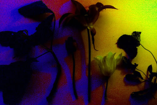 071_21_nov_0671