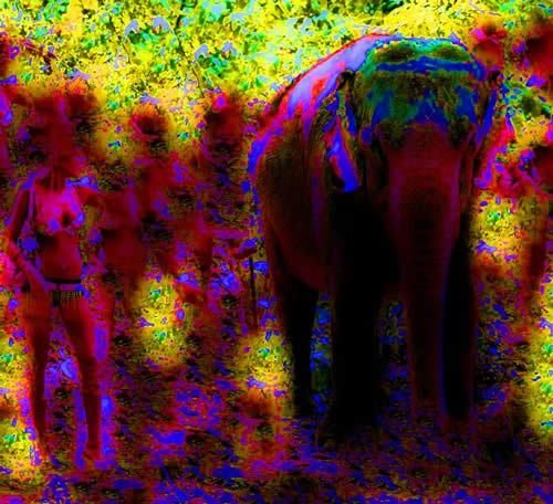 041_20_jun_07