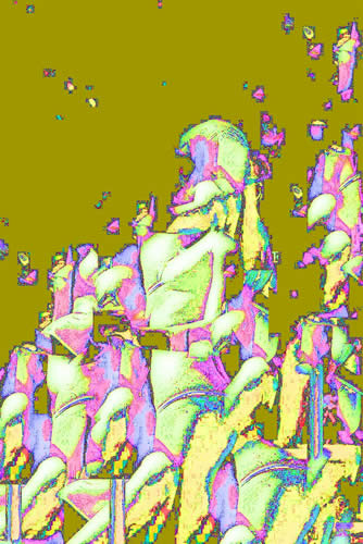 045_28_jun_07