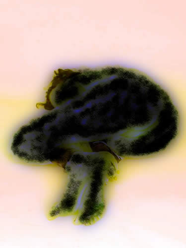 071_8_nov_07