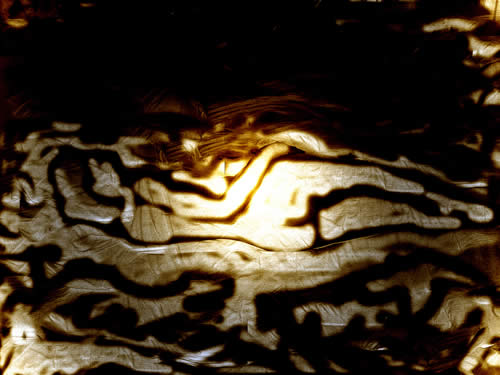 080_28_nov_07