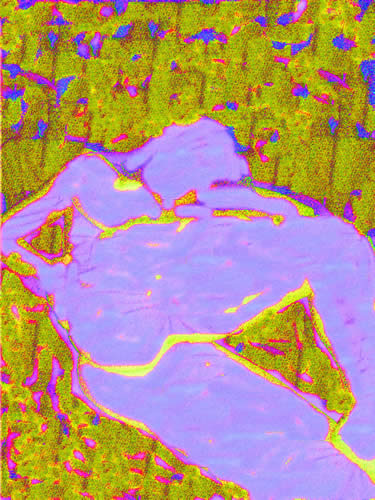 081_28_nov_07