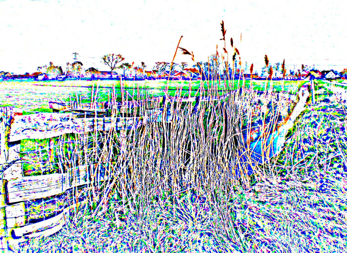 gein_005