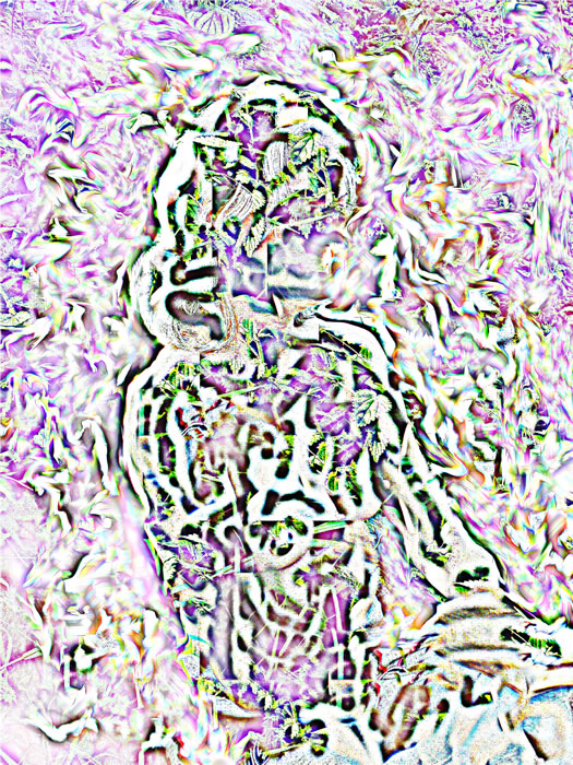 m_003