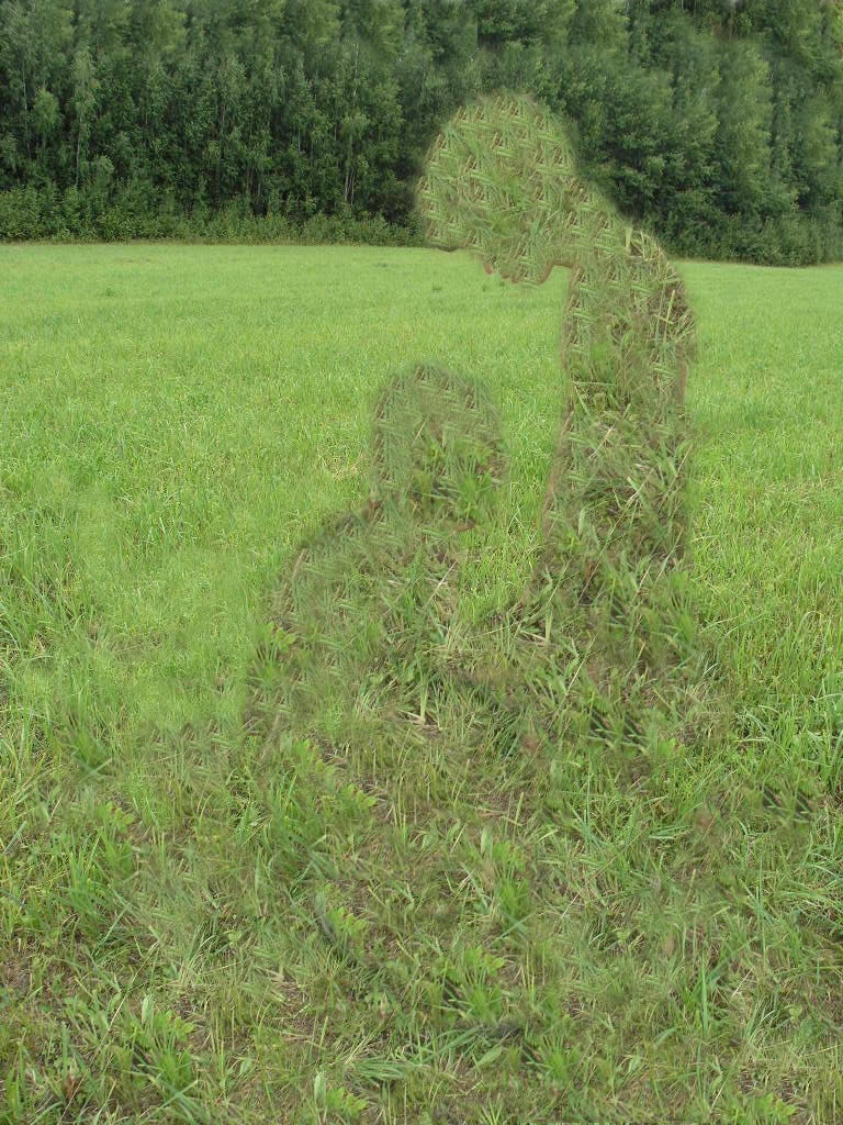 78