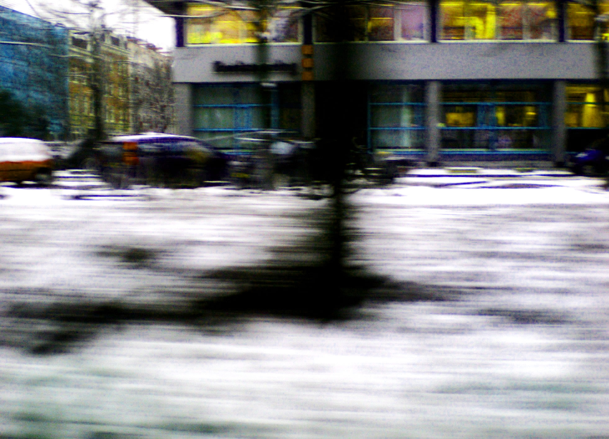 sneeuw (10)