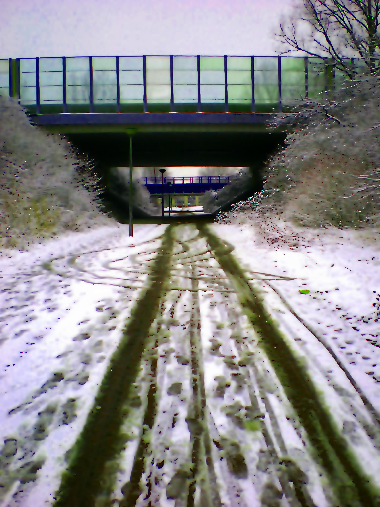 sneeuw (2)