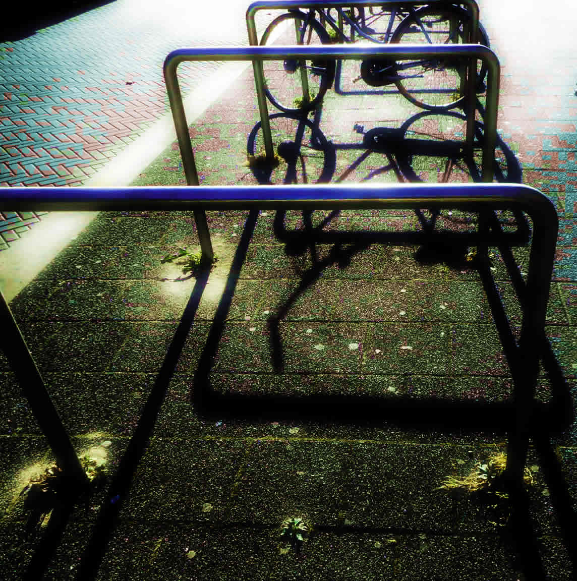 DSCN1216aq