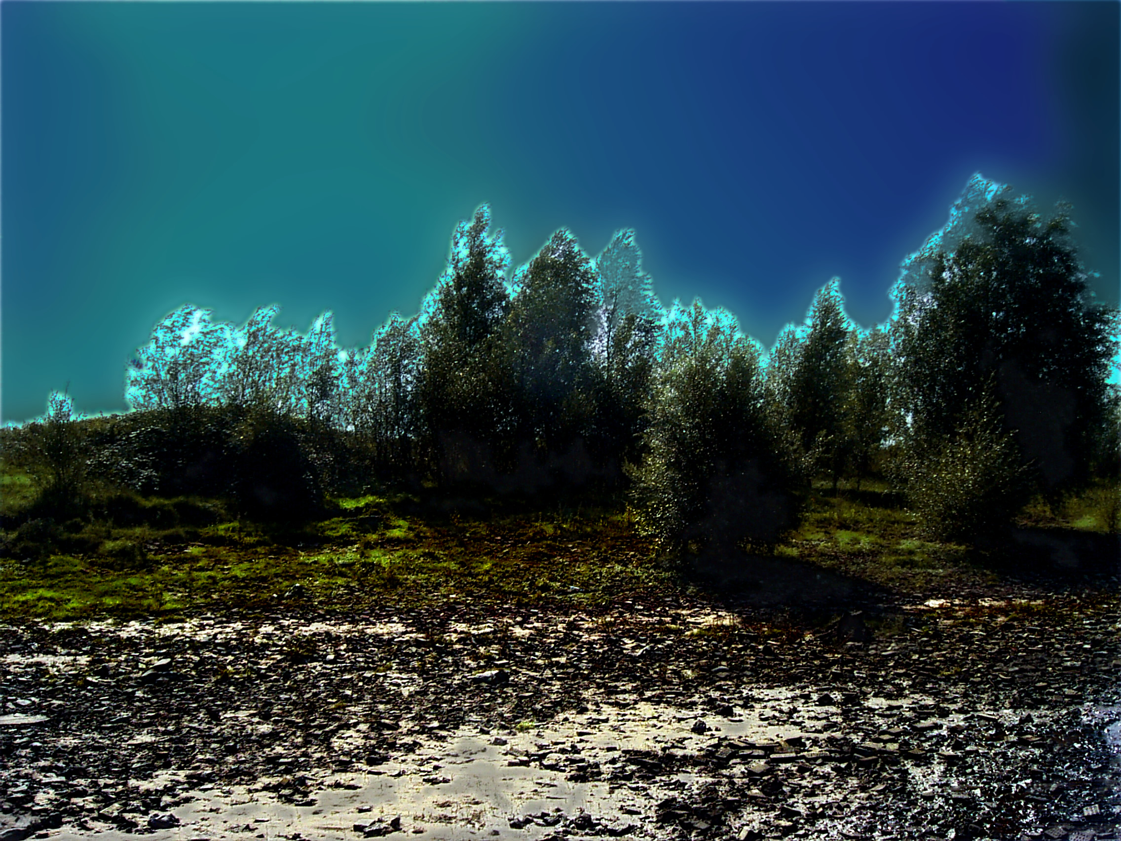 aaIC_0033