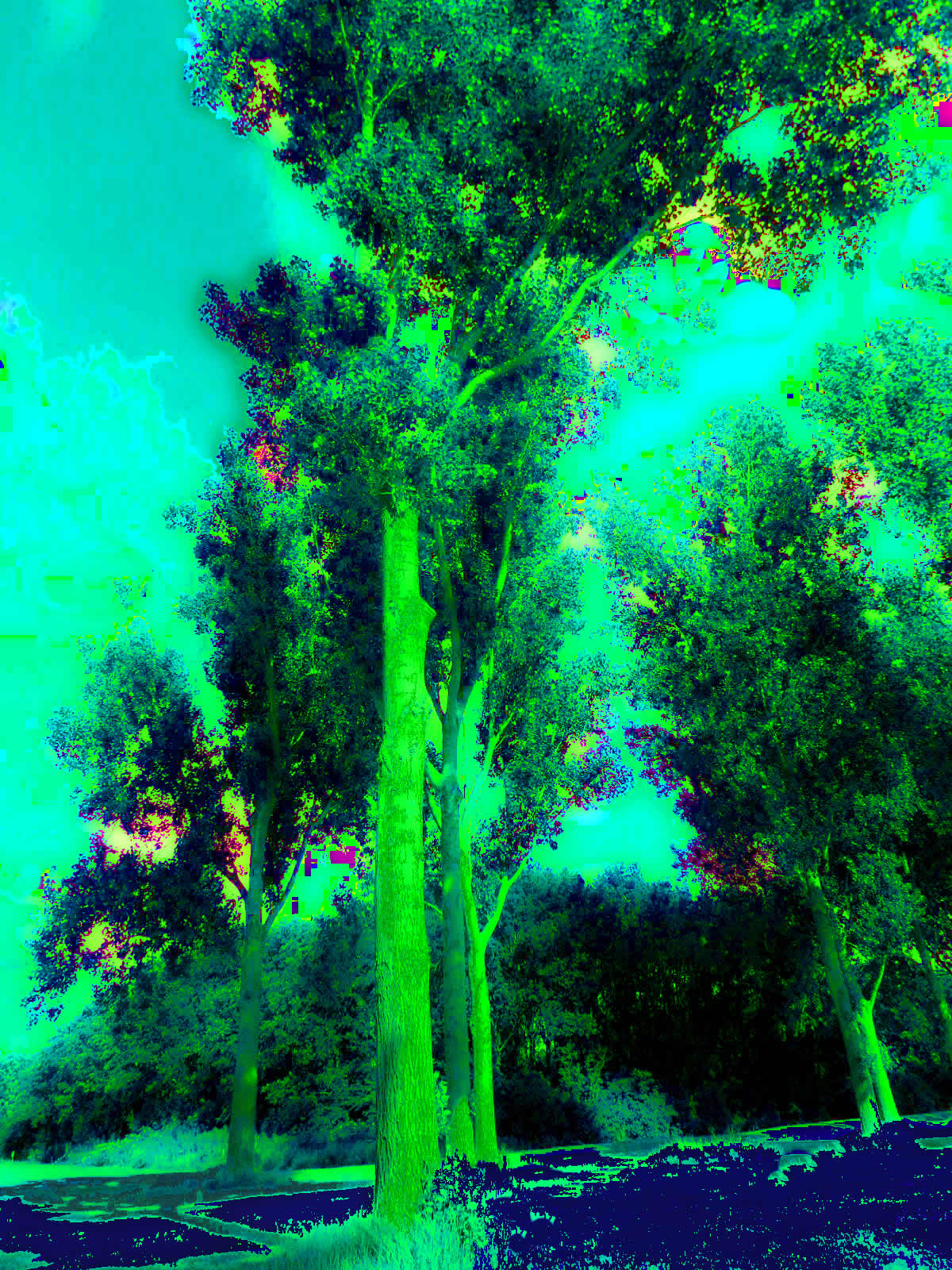 zzPICpge - Copy
