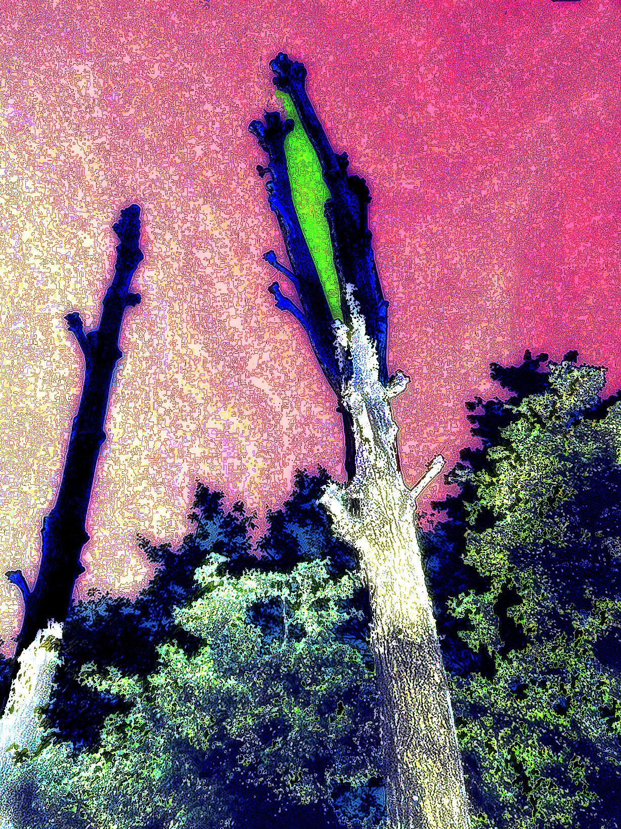 zzPICpgl - Copy