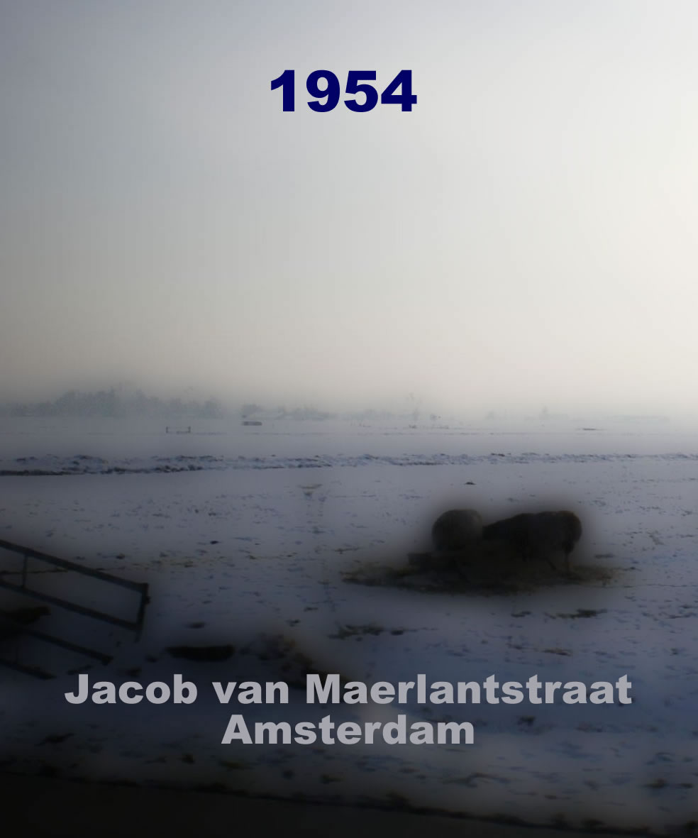 1954 (0)