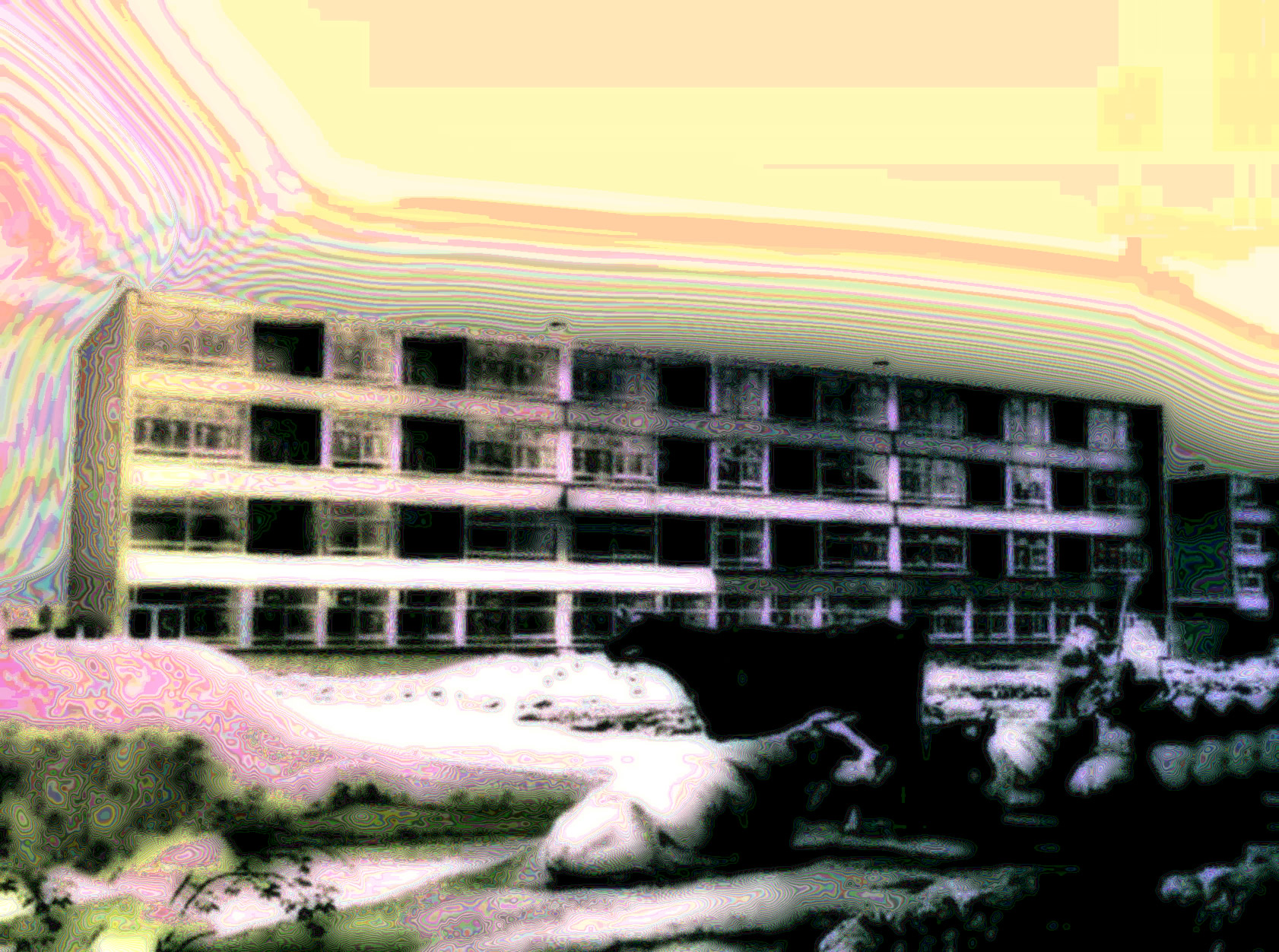 1955 (2)
