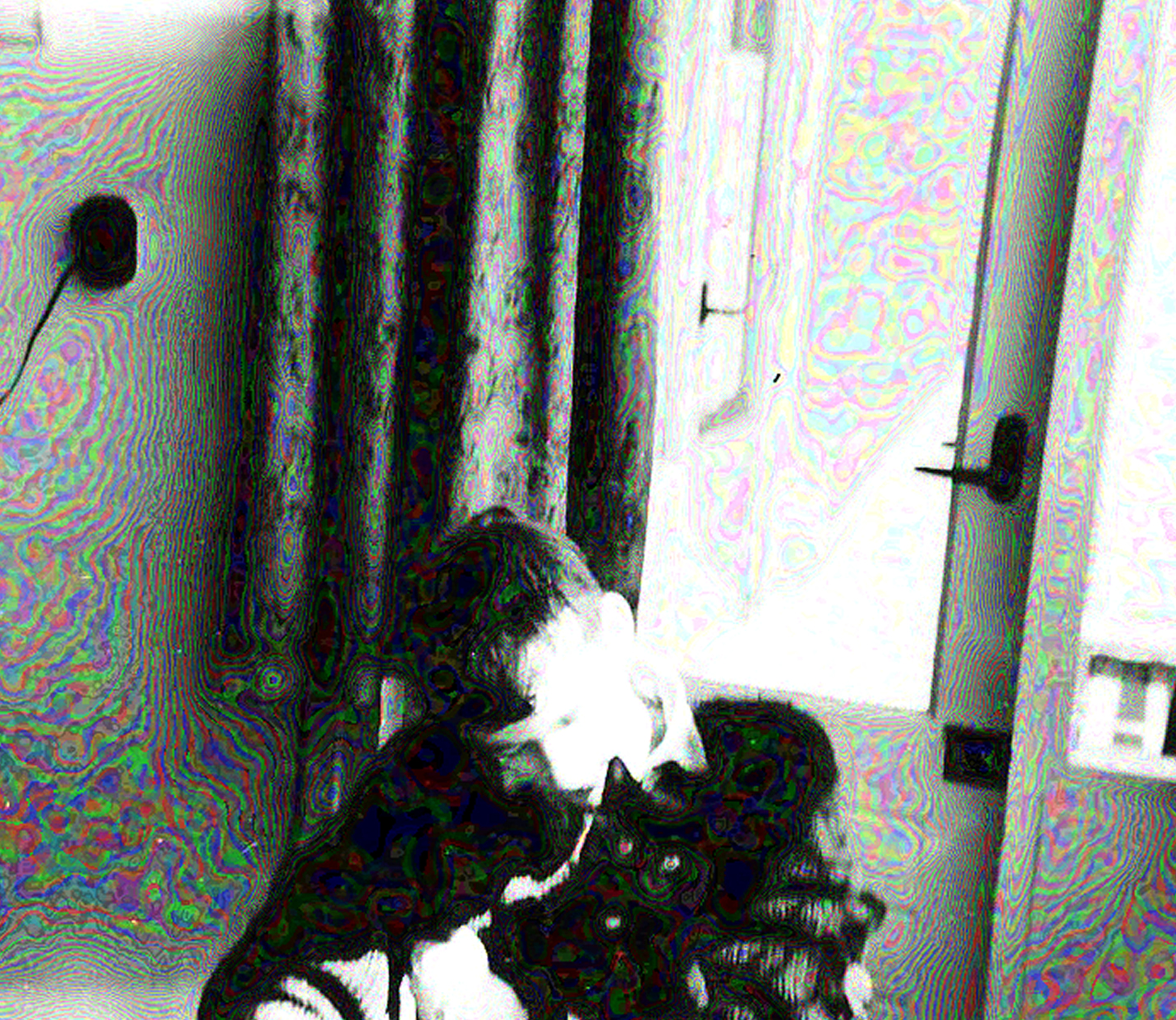 1956 (7)a