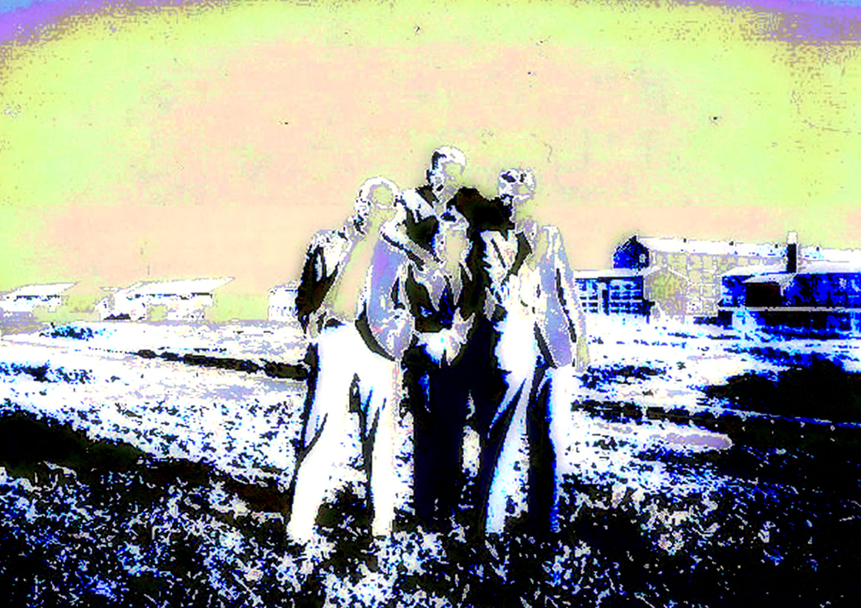 1959 (11)