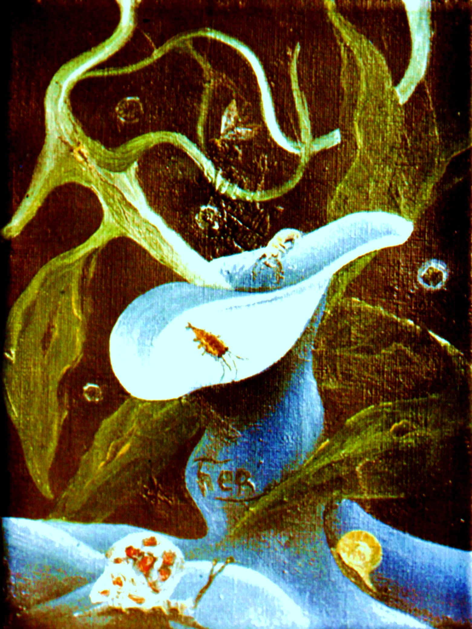 1961 (6a)