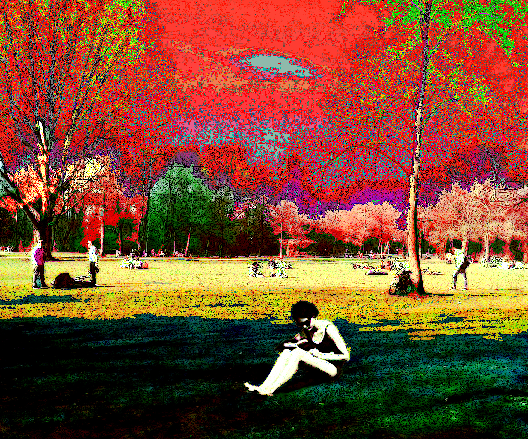 1968 (16)