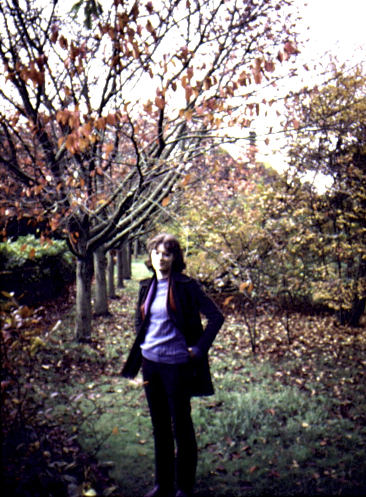 1980 (12)