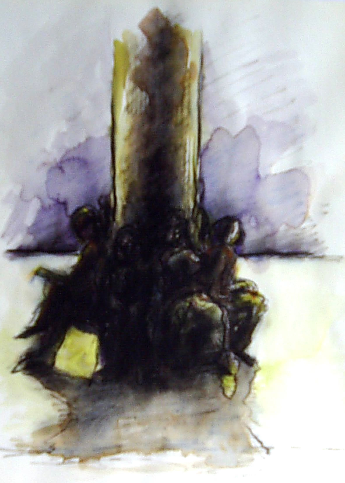 1983 (20)