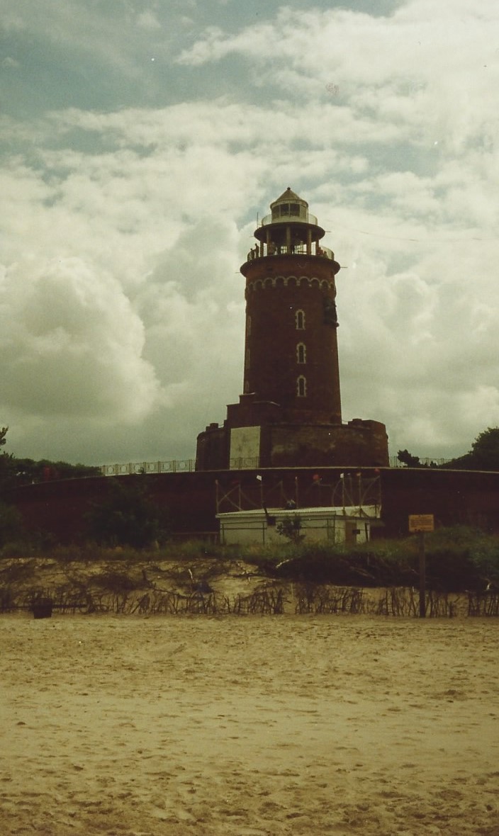 1991 (21)