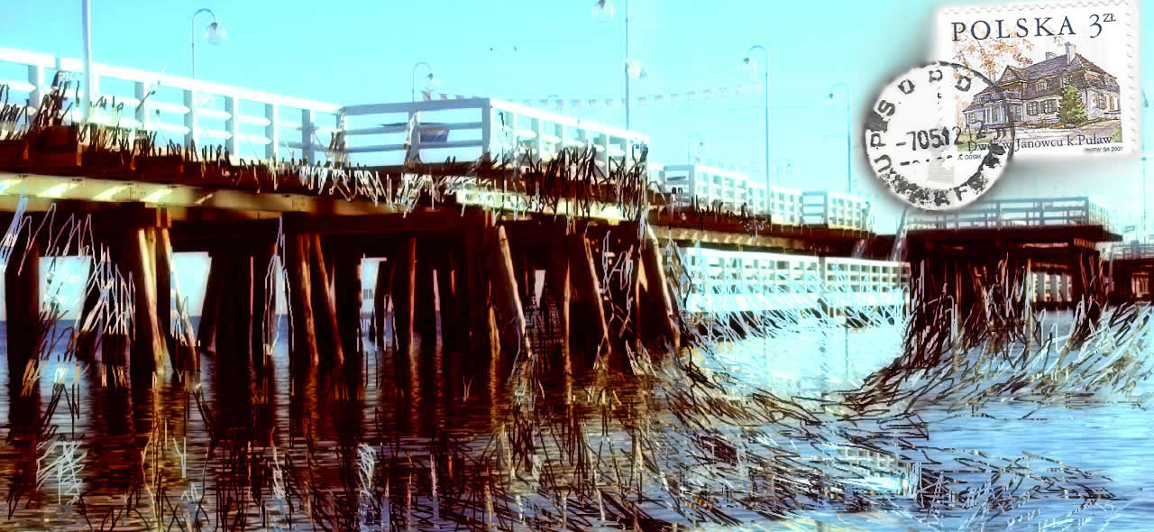 1991 (23)
