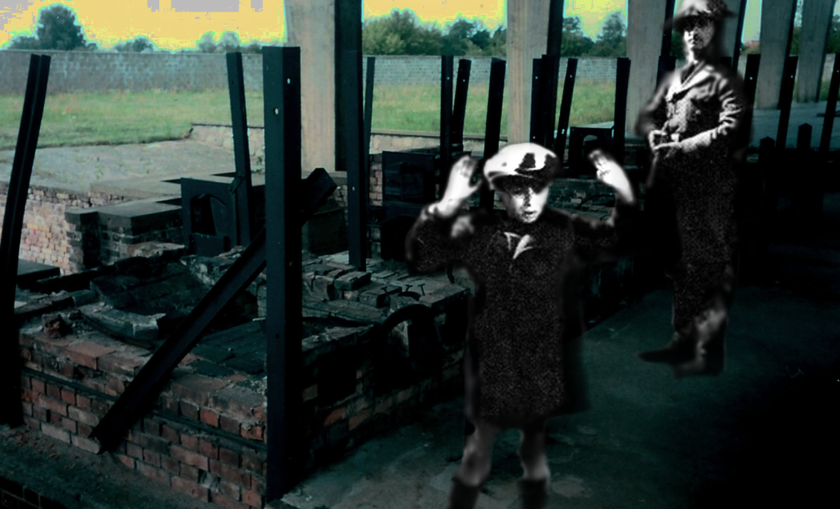 1993 (24)