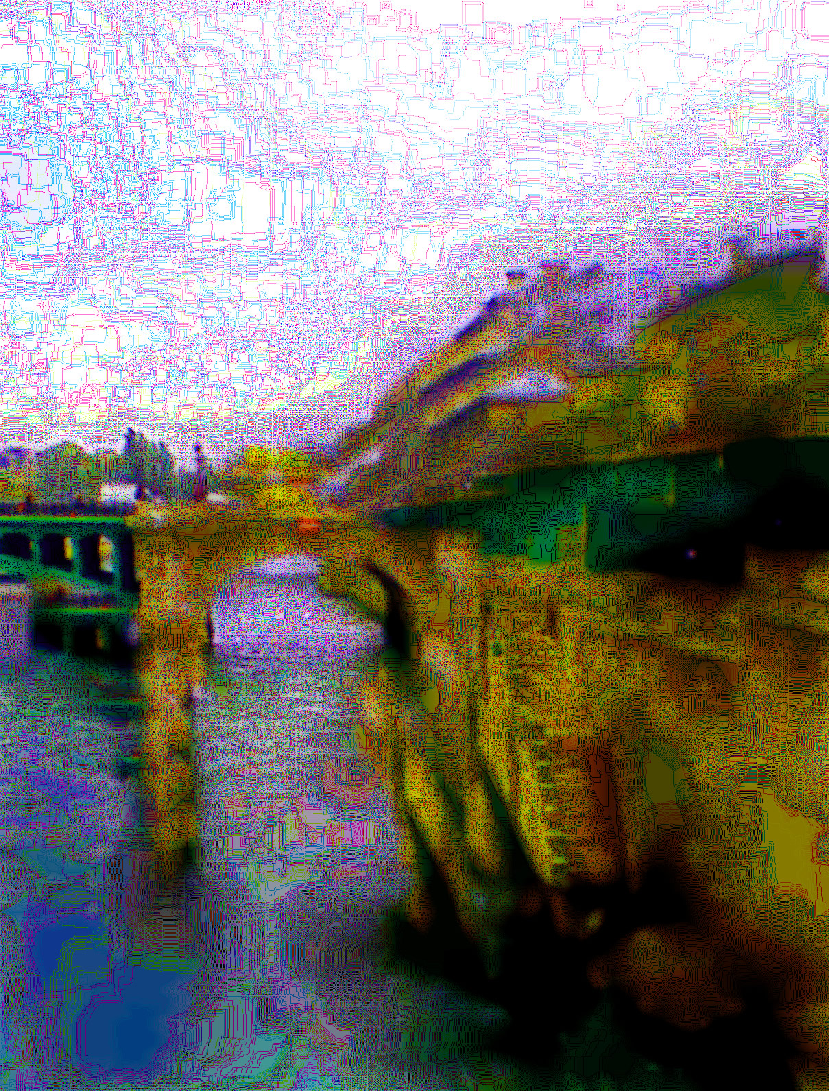 1996 (17)
