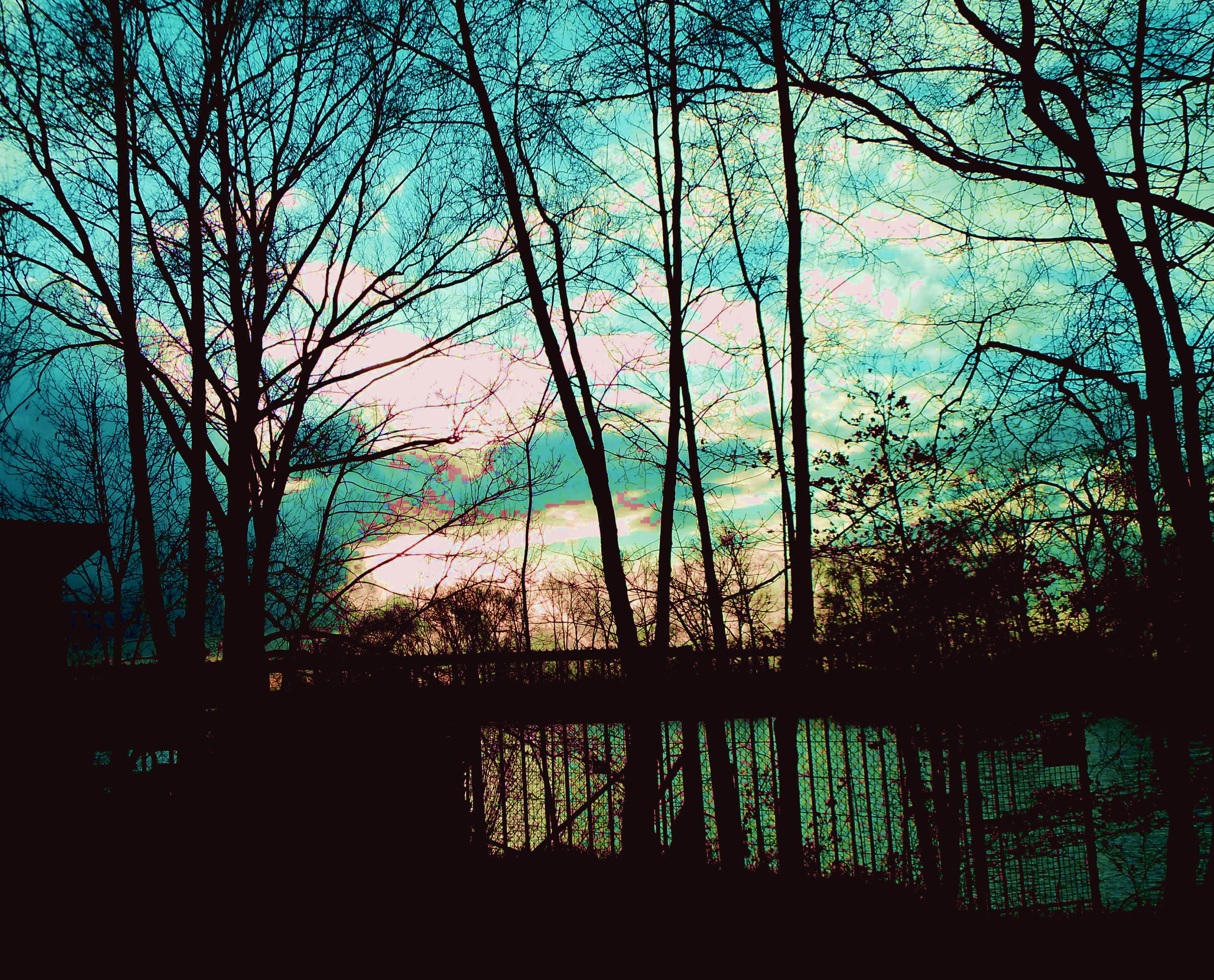 1996 (5)