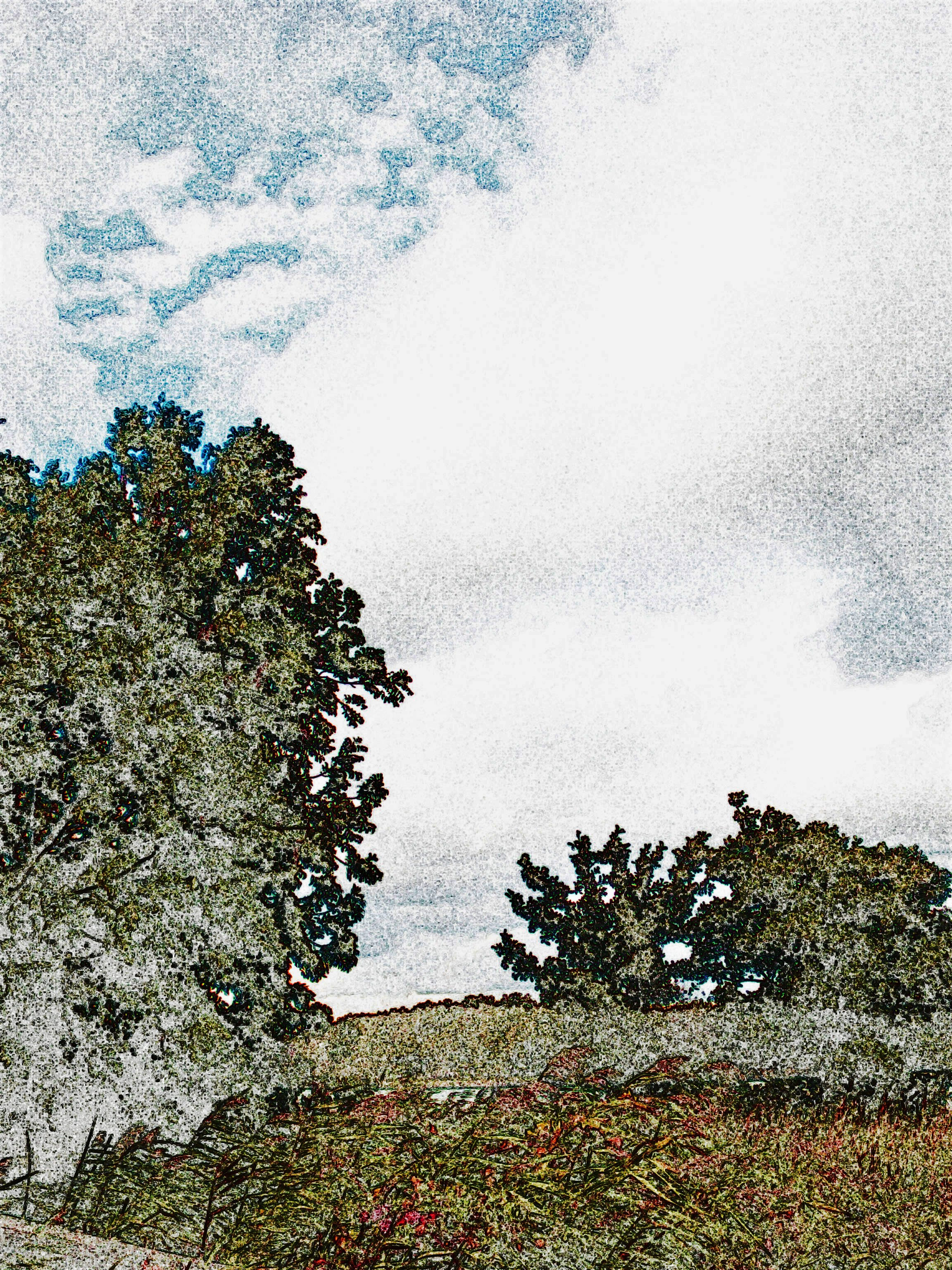 1996 (8)
