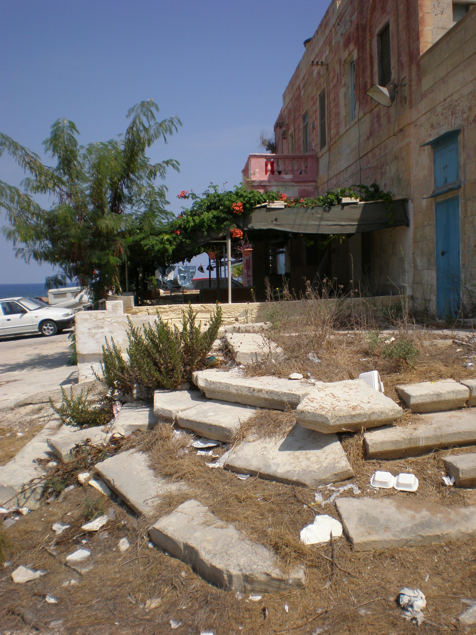 2001 (17)