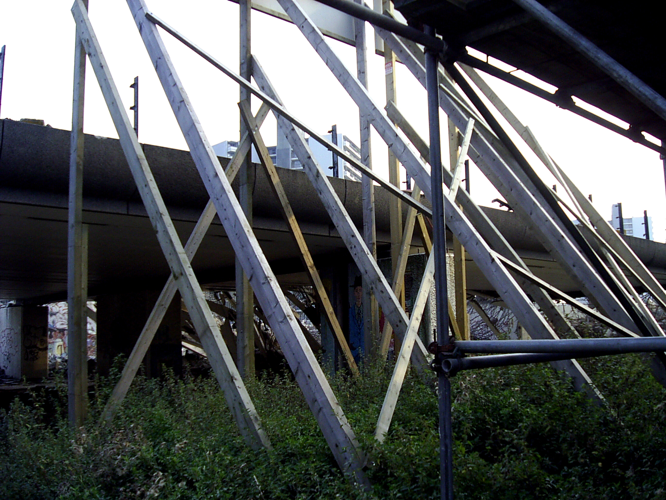 2001 (25)
