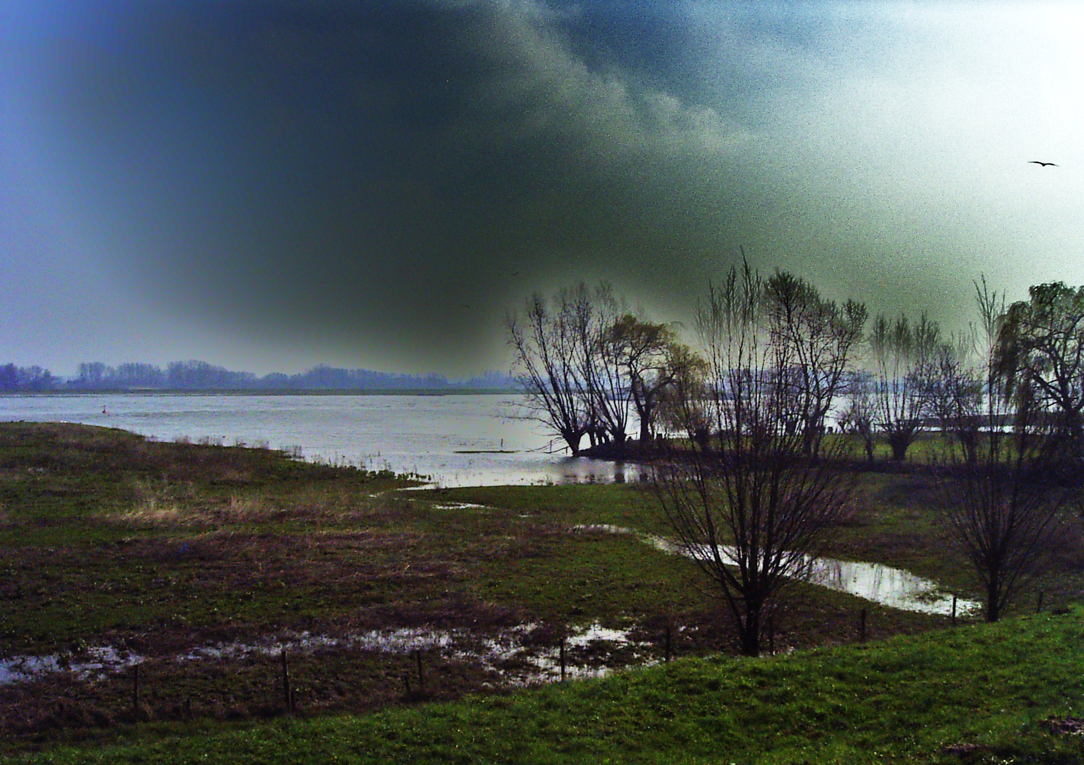 2001 (8)