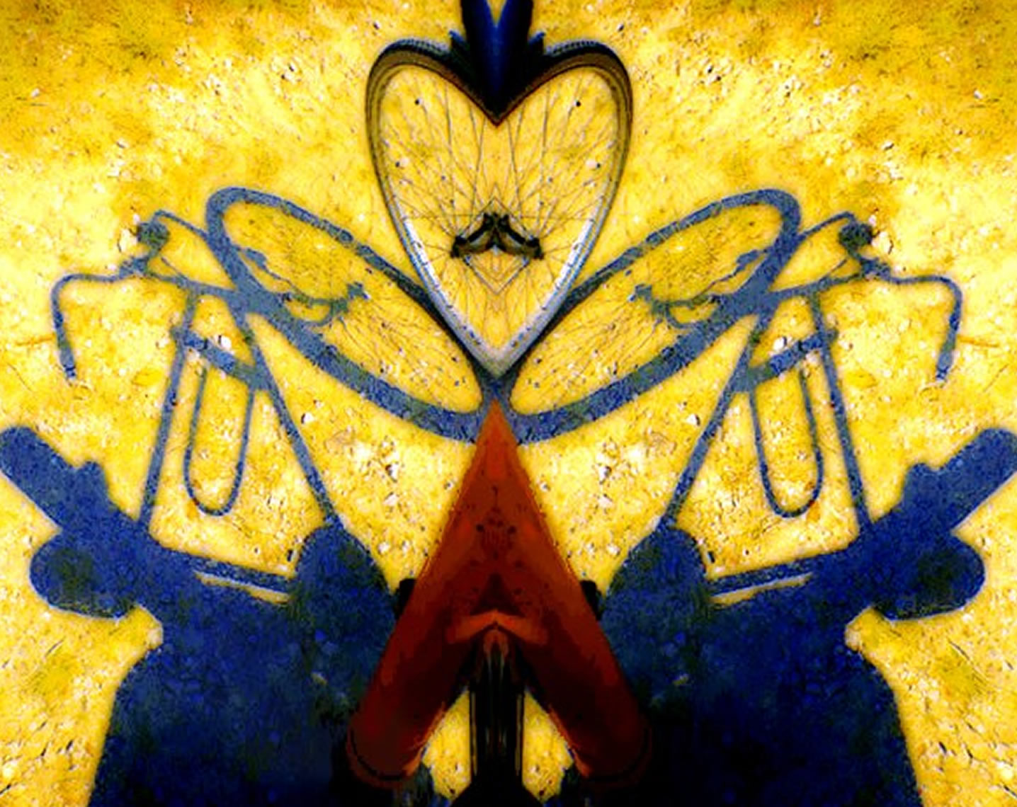 2003 (14)c