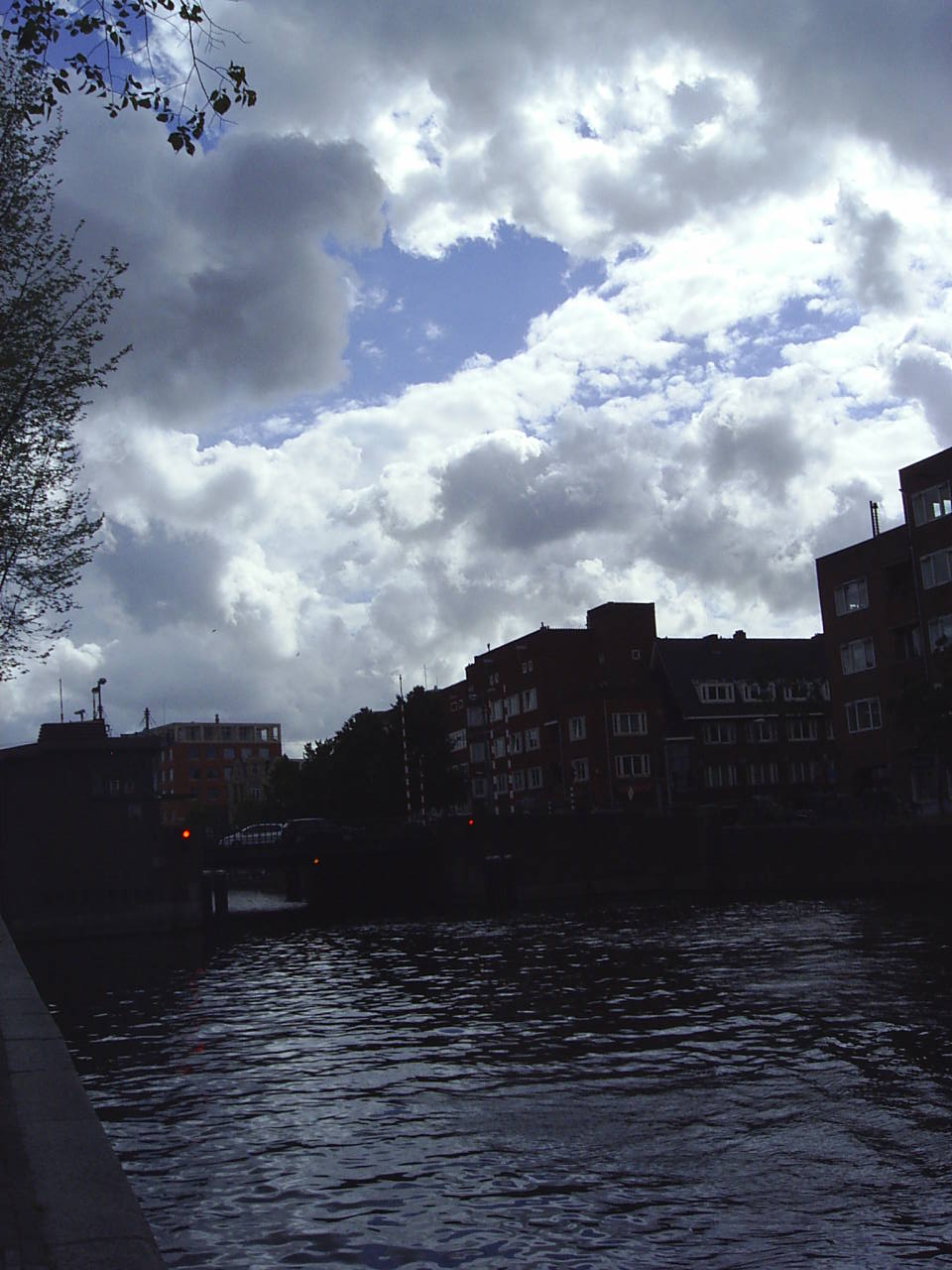 2004 (16)