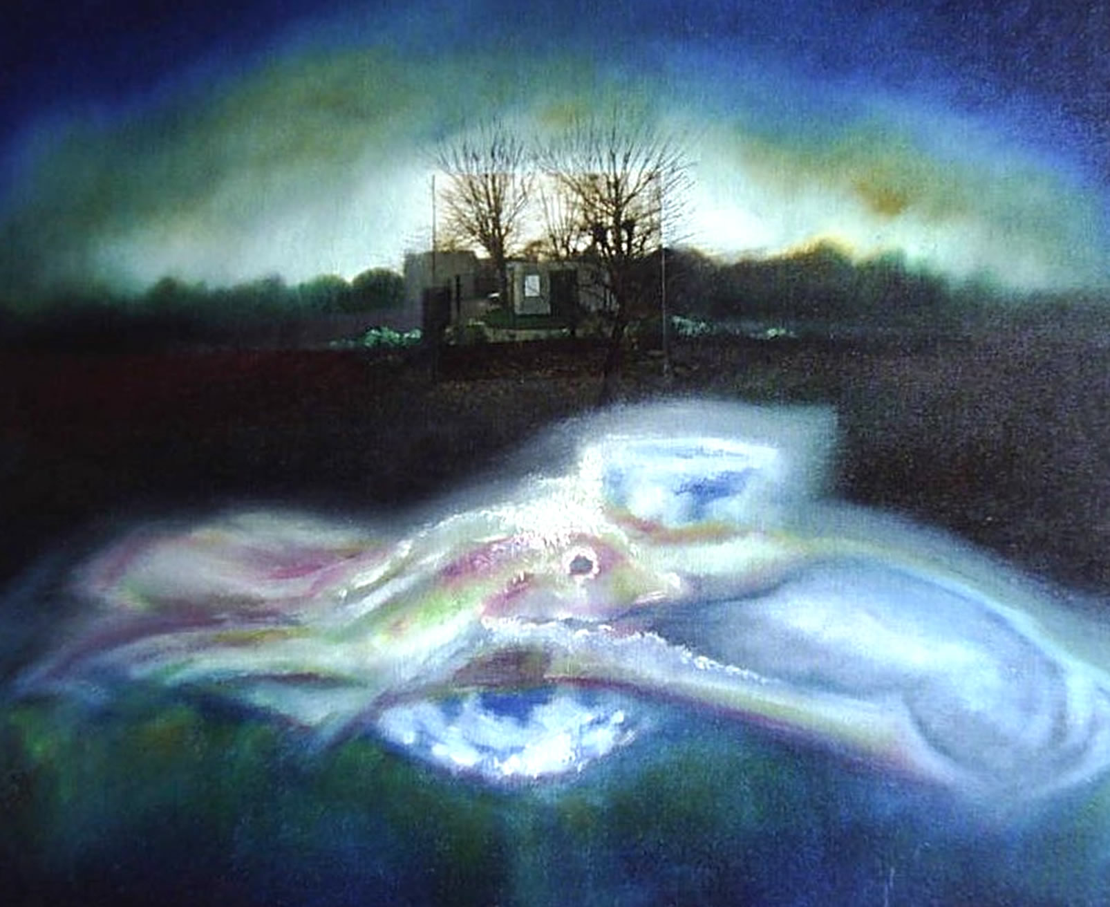 2004 (49)