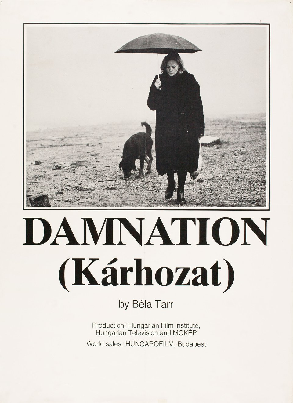2005 (32)