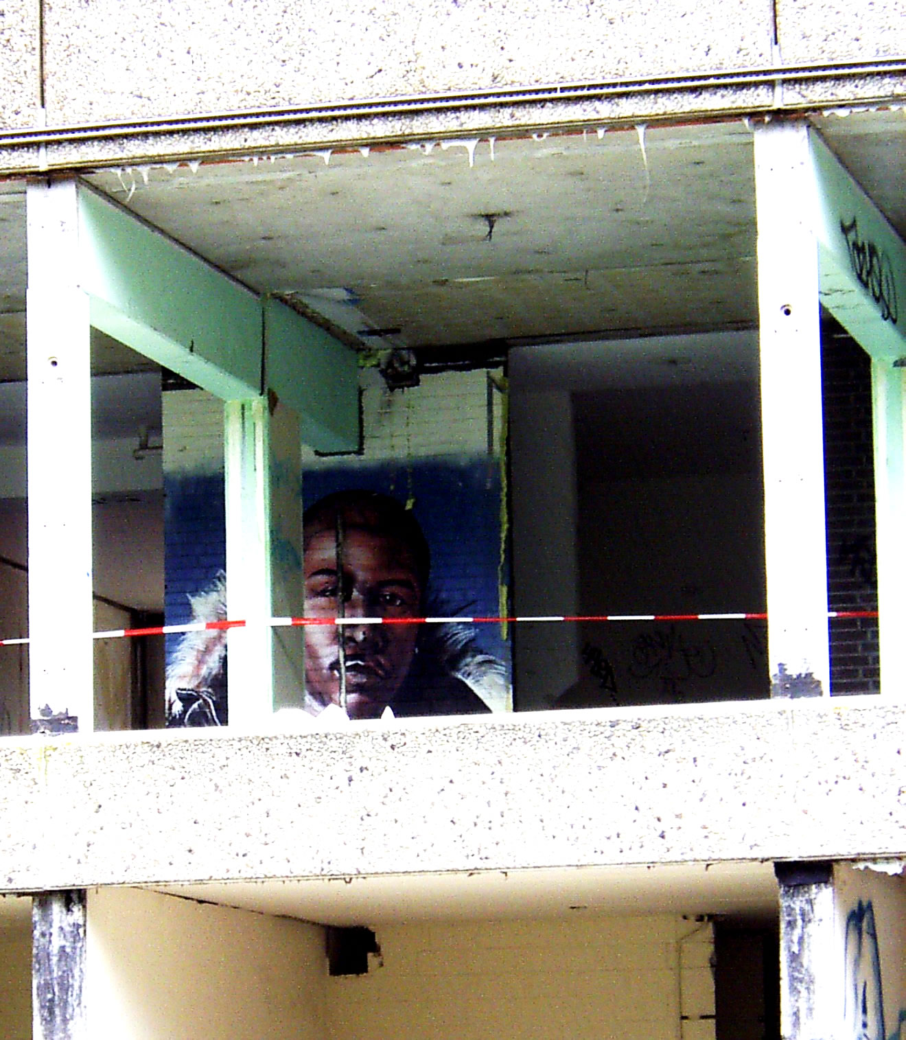 2006 (25)
