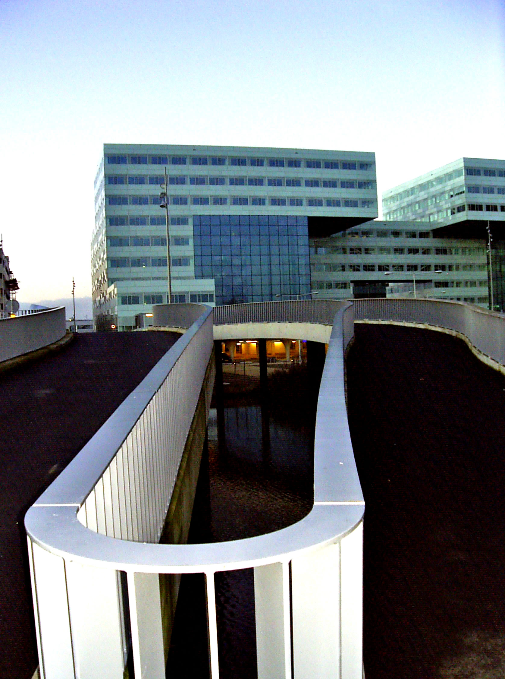 2006 (30)