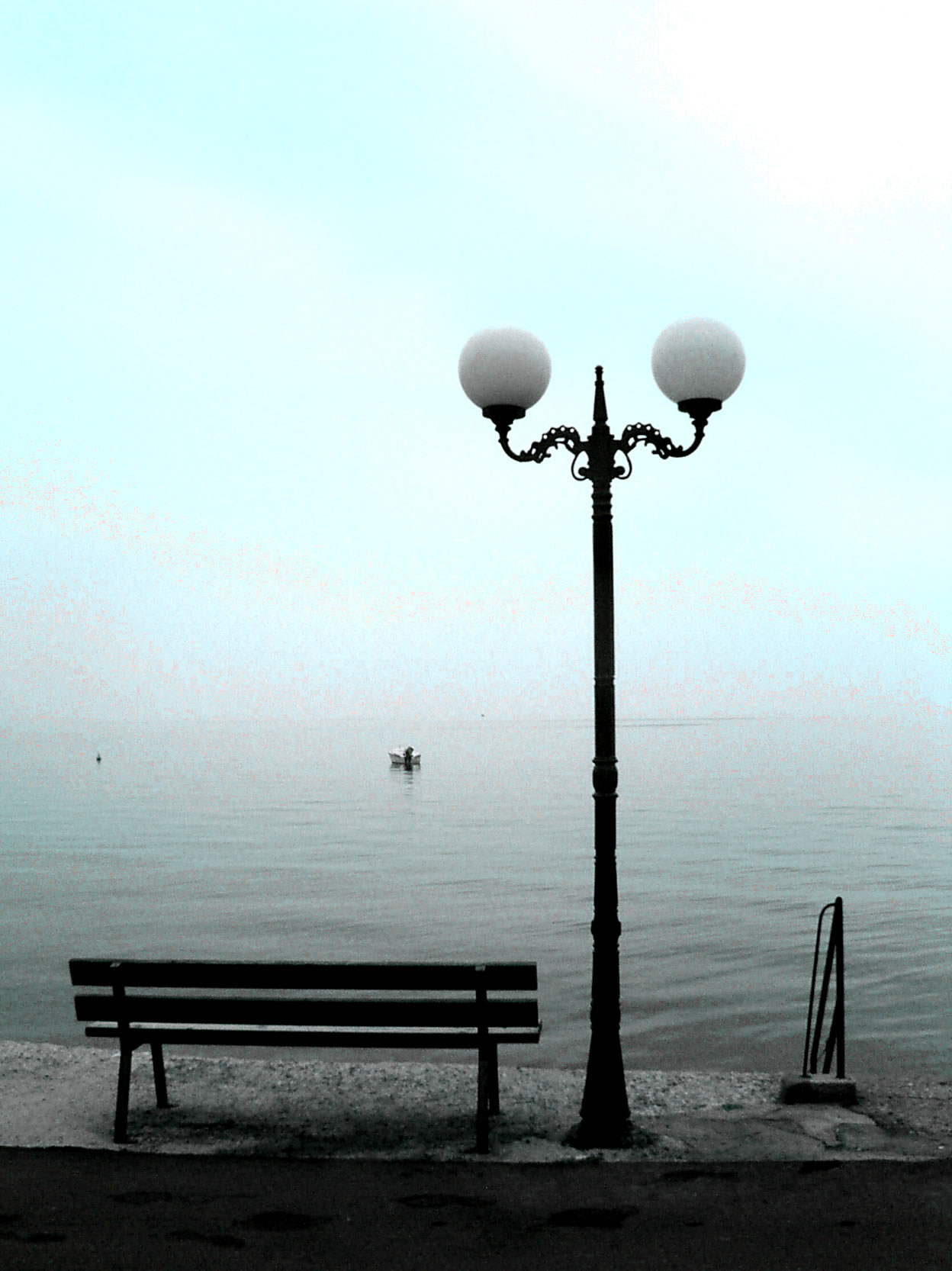 2006 (3d)
