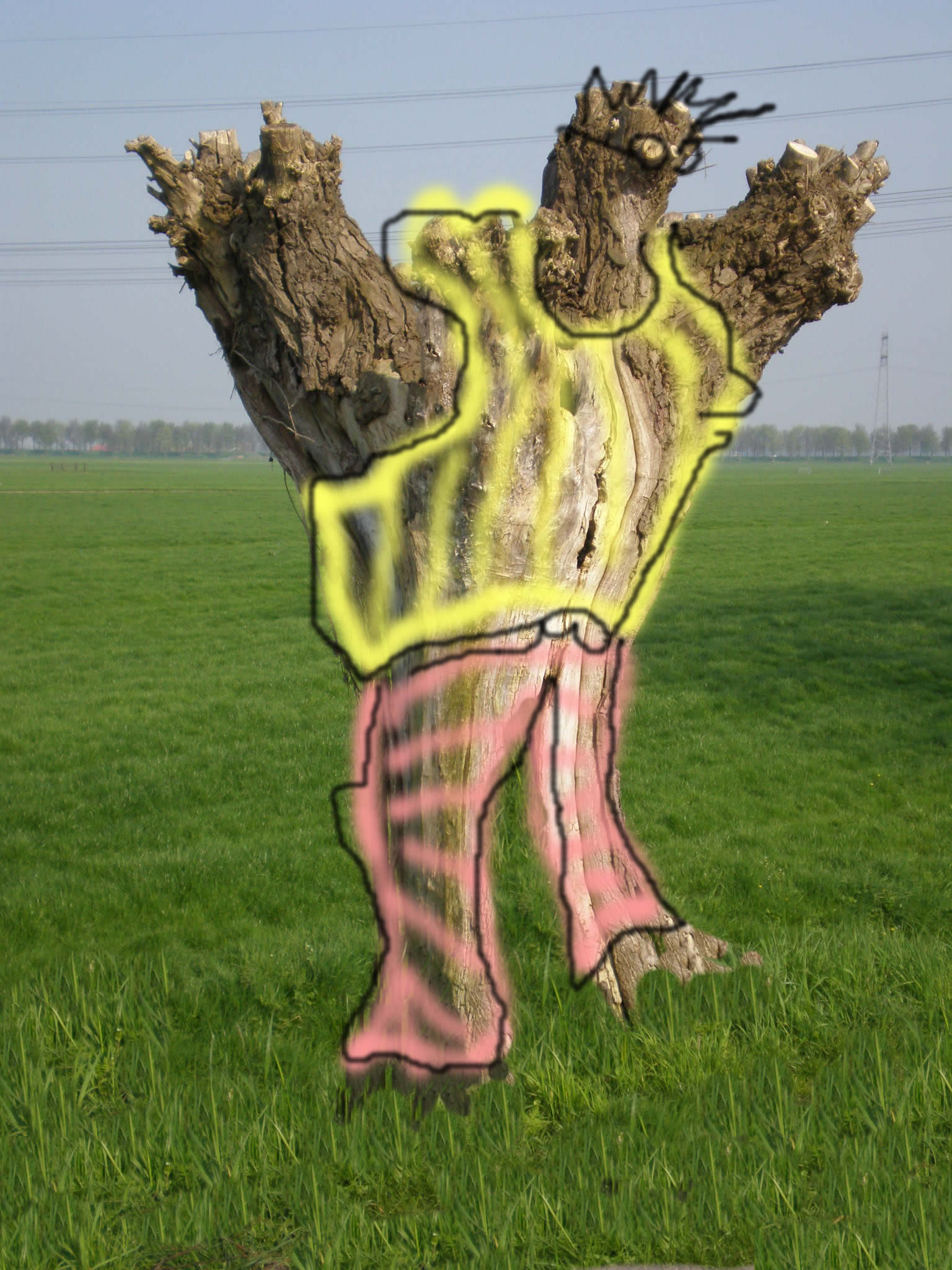 2008 (31)
