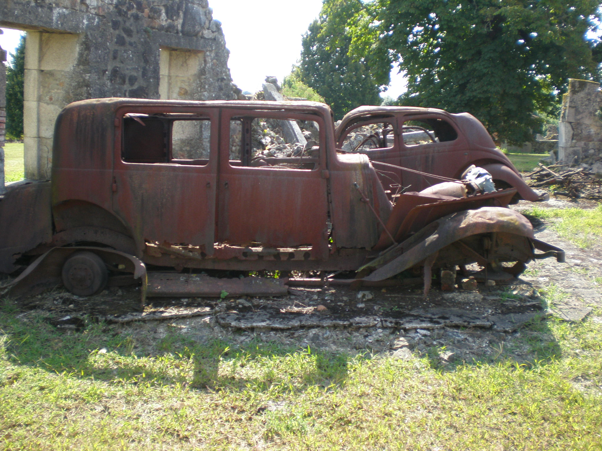 2009 (16)