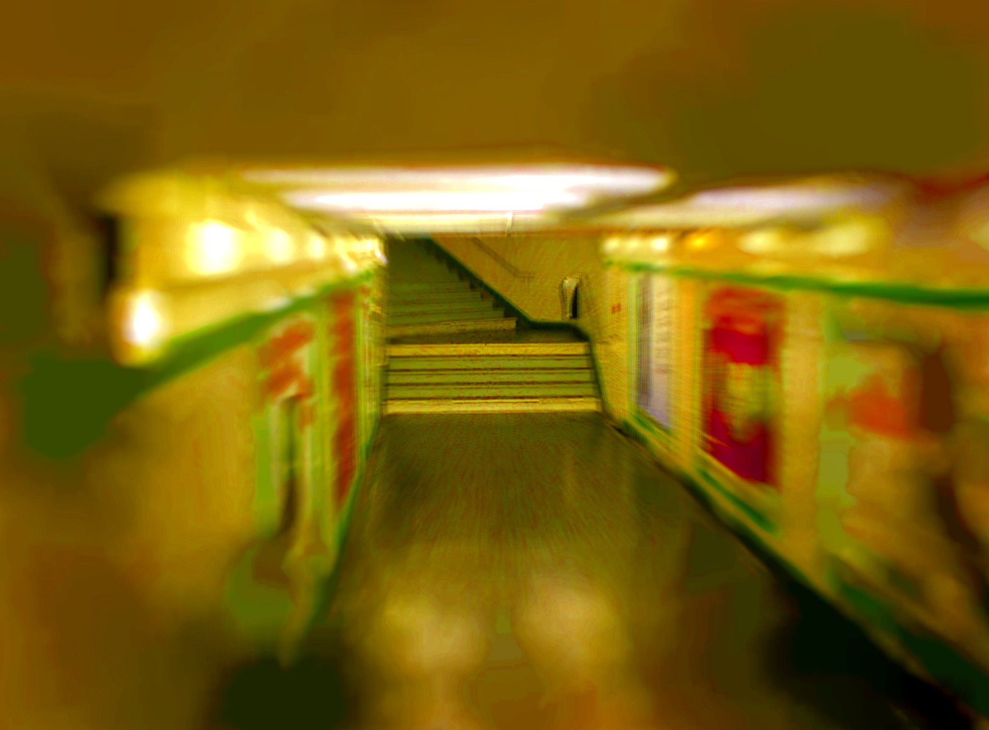 2009 (23)