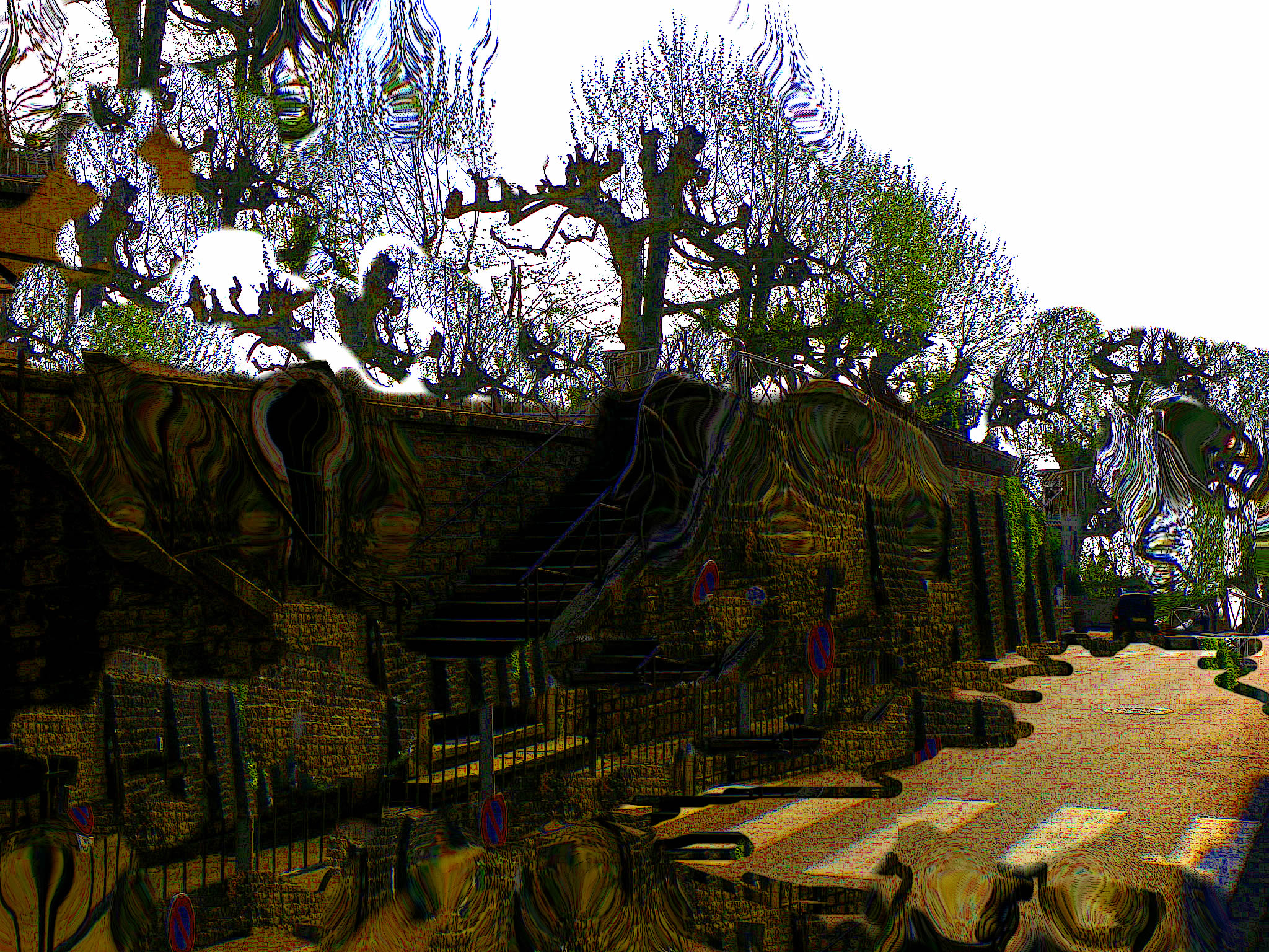 2009 (6)a