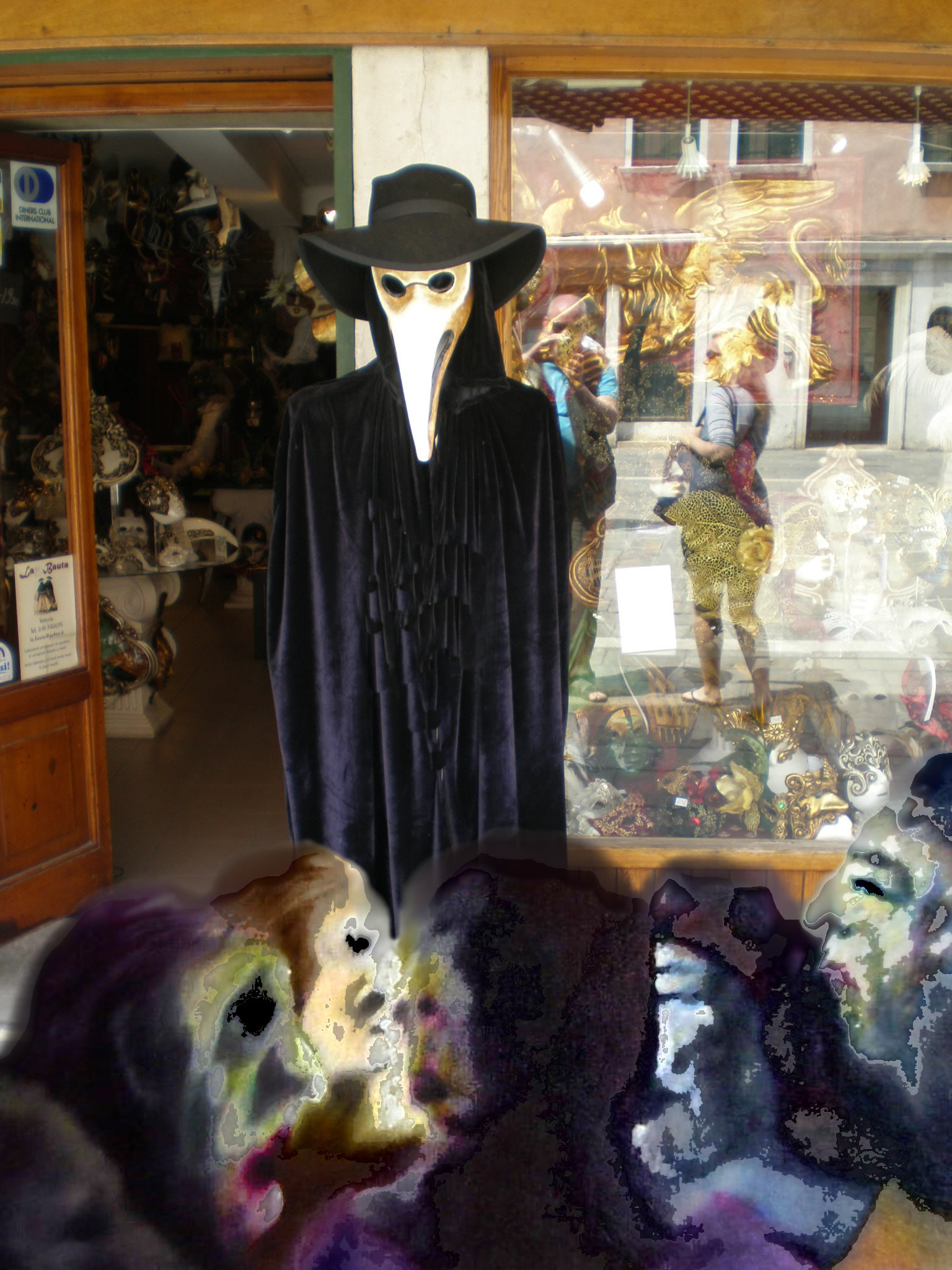 2011 (19)