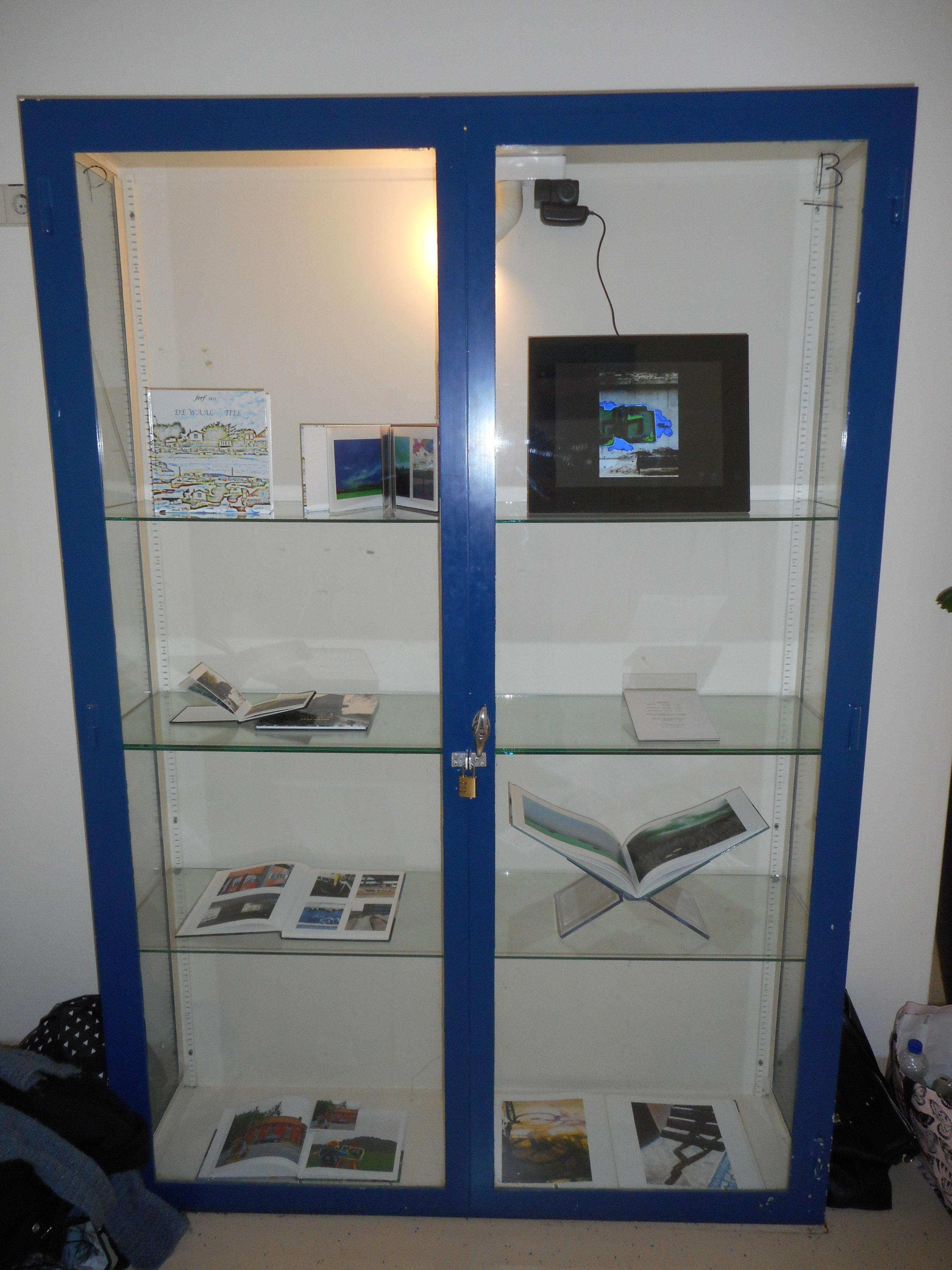 2011 (30)