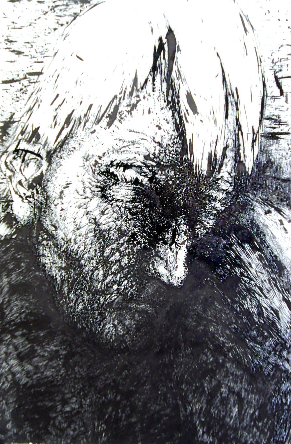 2012 (1)c