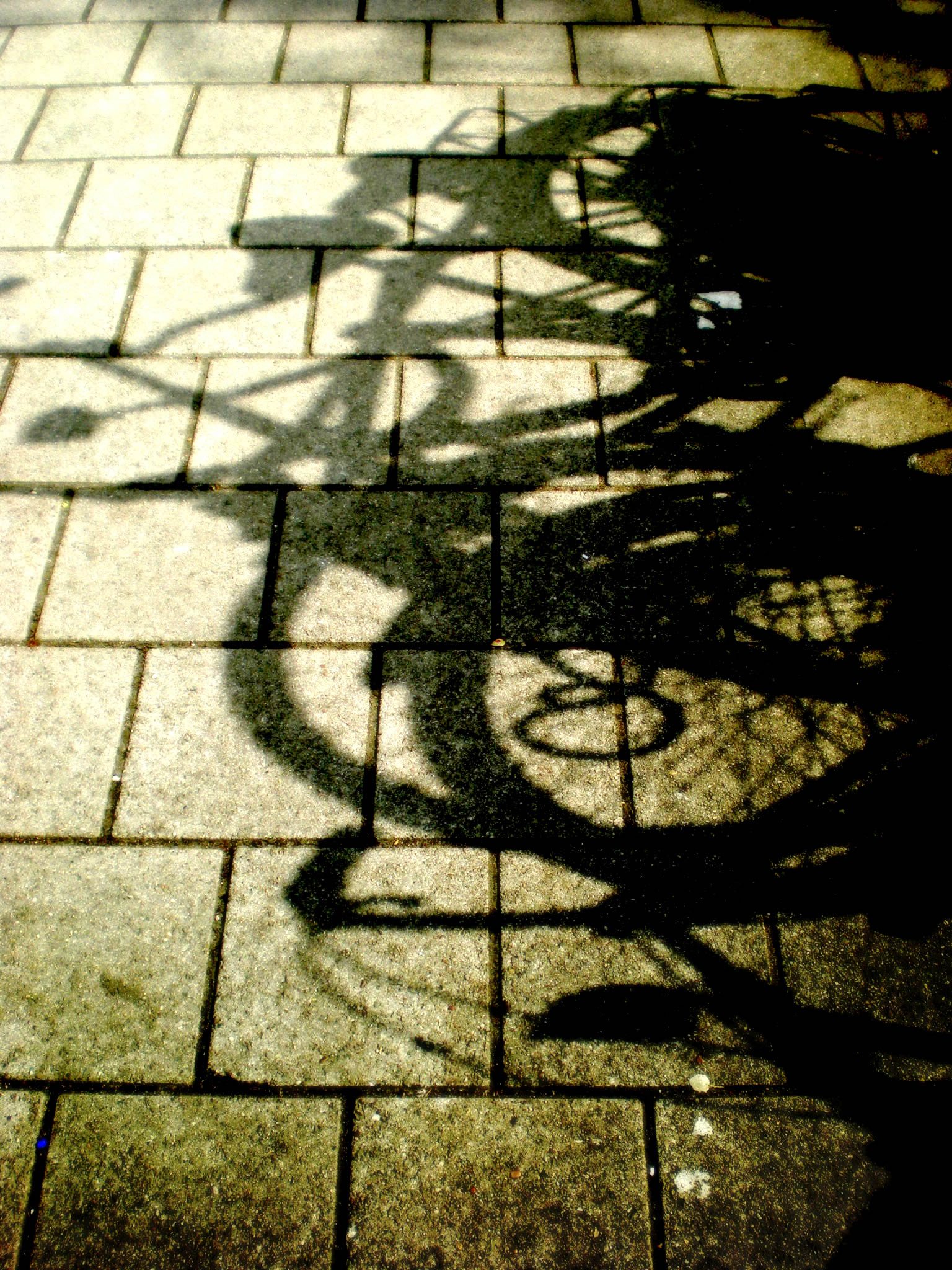 2012 (29)
