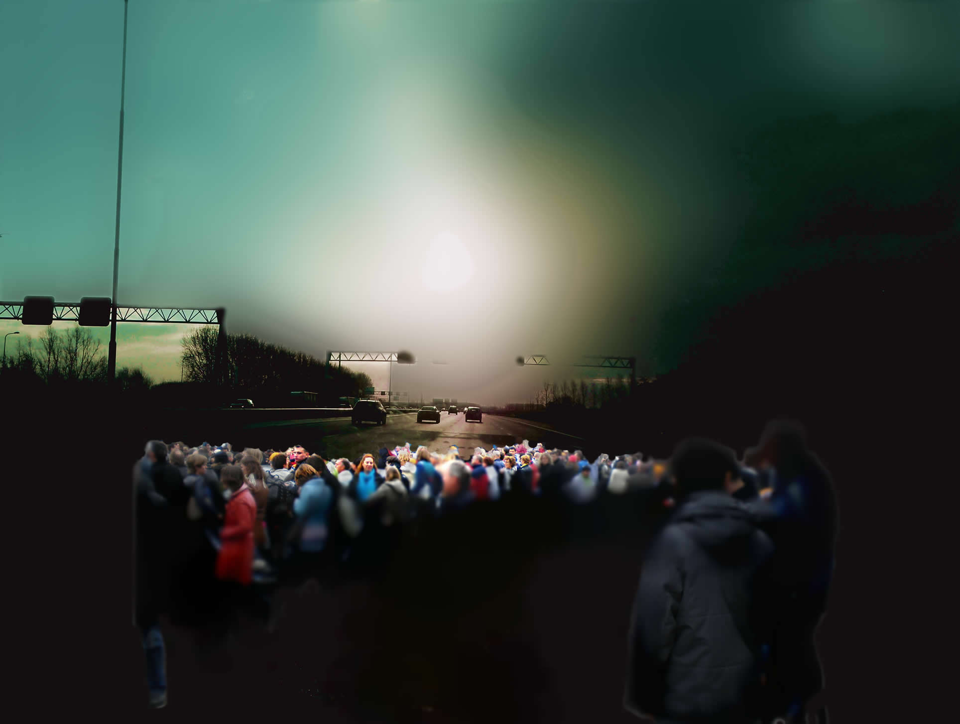 2014 (19)