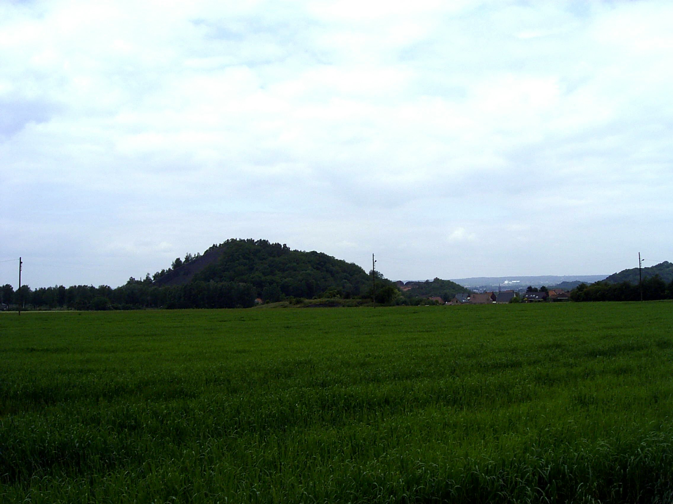 2017 (2)a